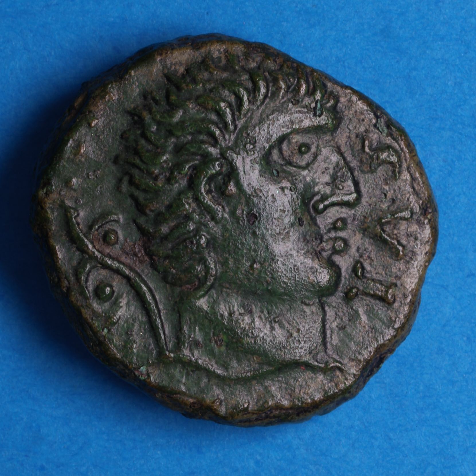 Catuvellauni Tasciovanos c. 25 BC-AD 10 T. War Trumpet Bronze Unit *Very Rare* - Image 3