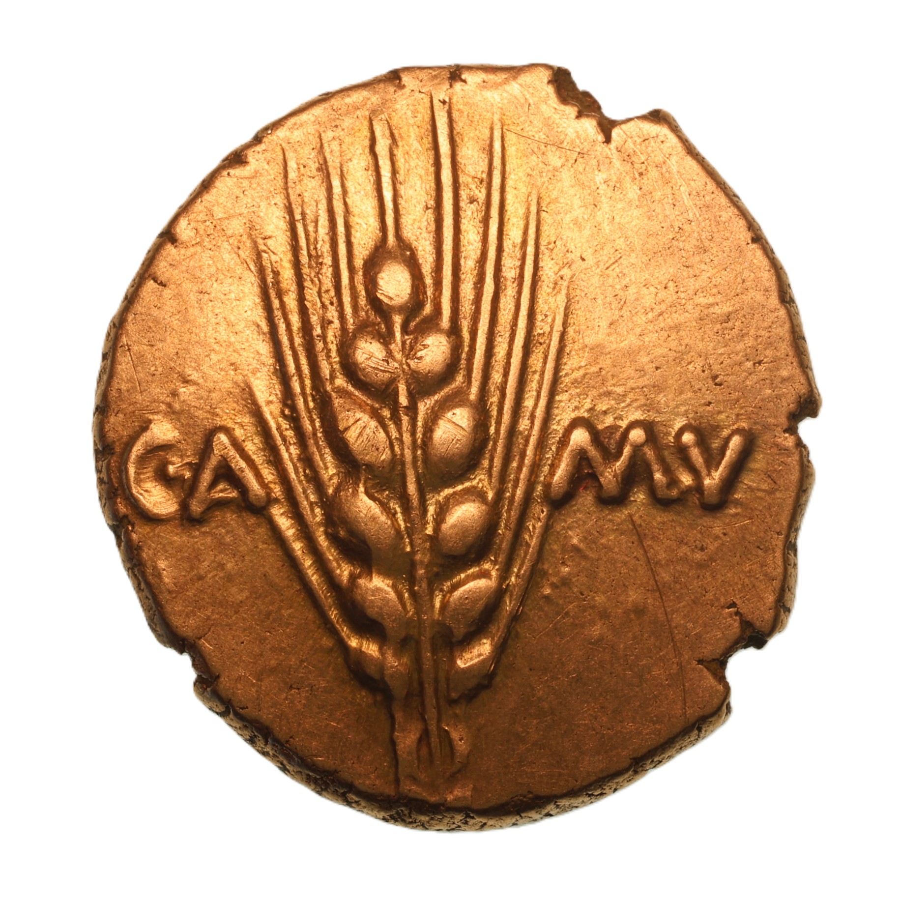 Catuvellauni and Trinovantes Cunobelinus c. AD 8-40 Classic Stalk type Gold Stater *Scarce* - Image 2
