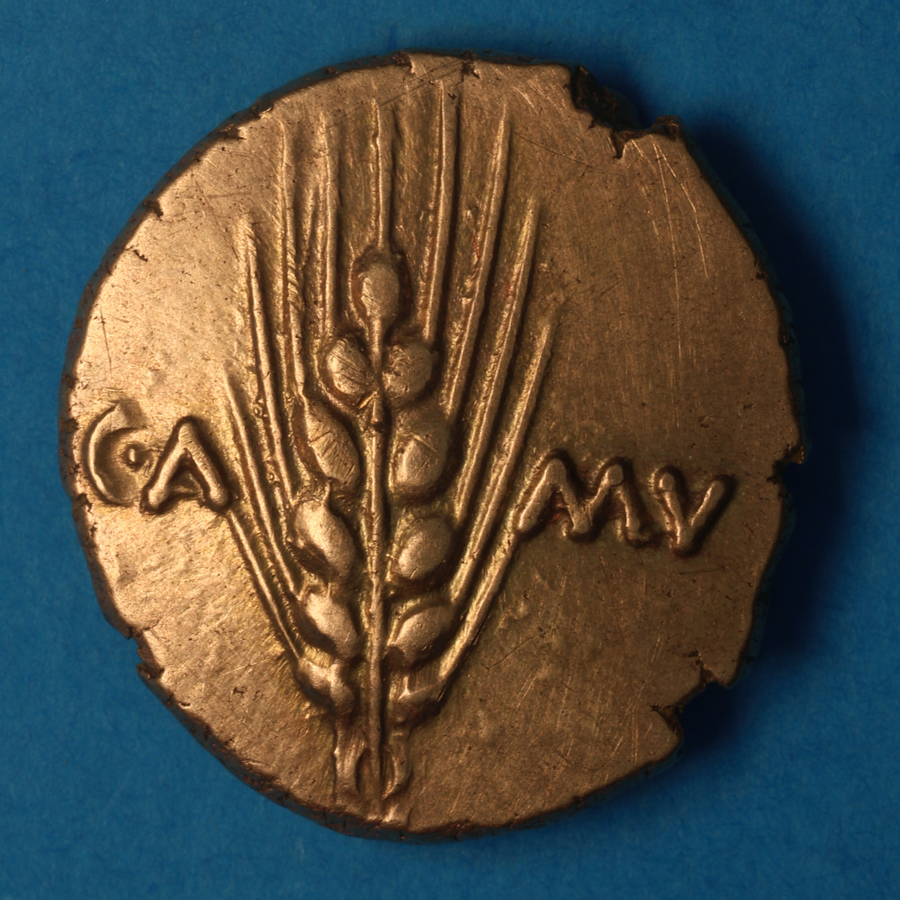 Catuvellauni and Trinovantes Cunobelinus c. AD 8-40 Classic Stalk type Gold Stater *Scarce* - Image 4