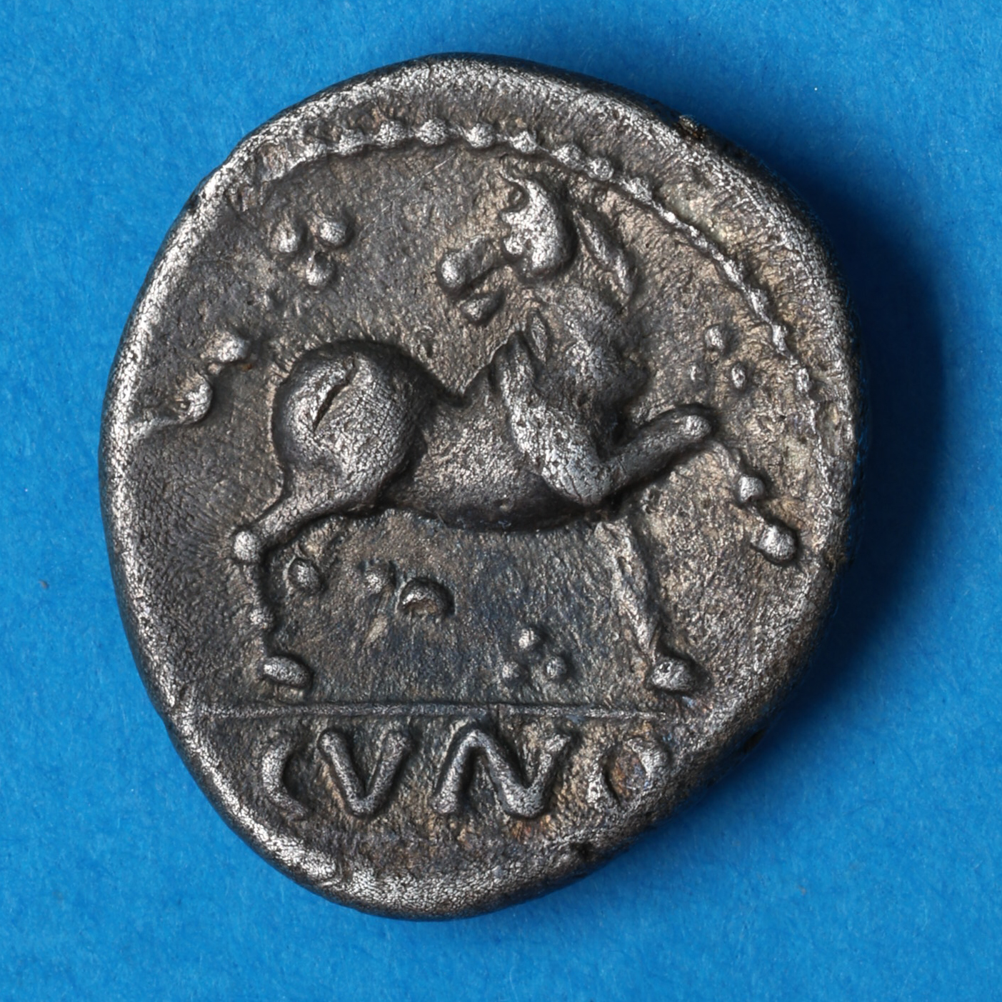 Catuvellauni and Trinovantes Cunobelinus c. AD 8-40 Flower Silver Unit *Extremely rare* - Image 4