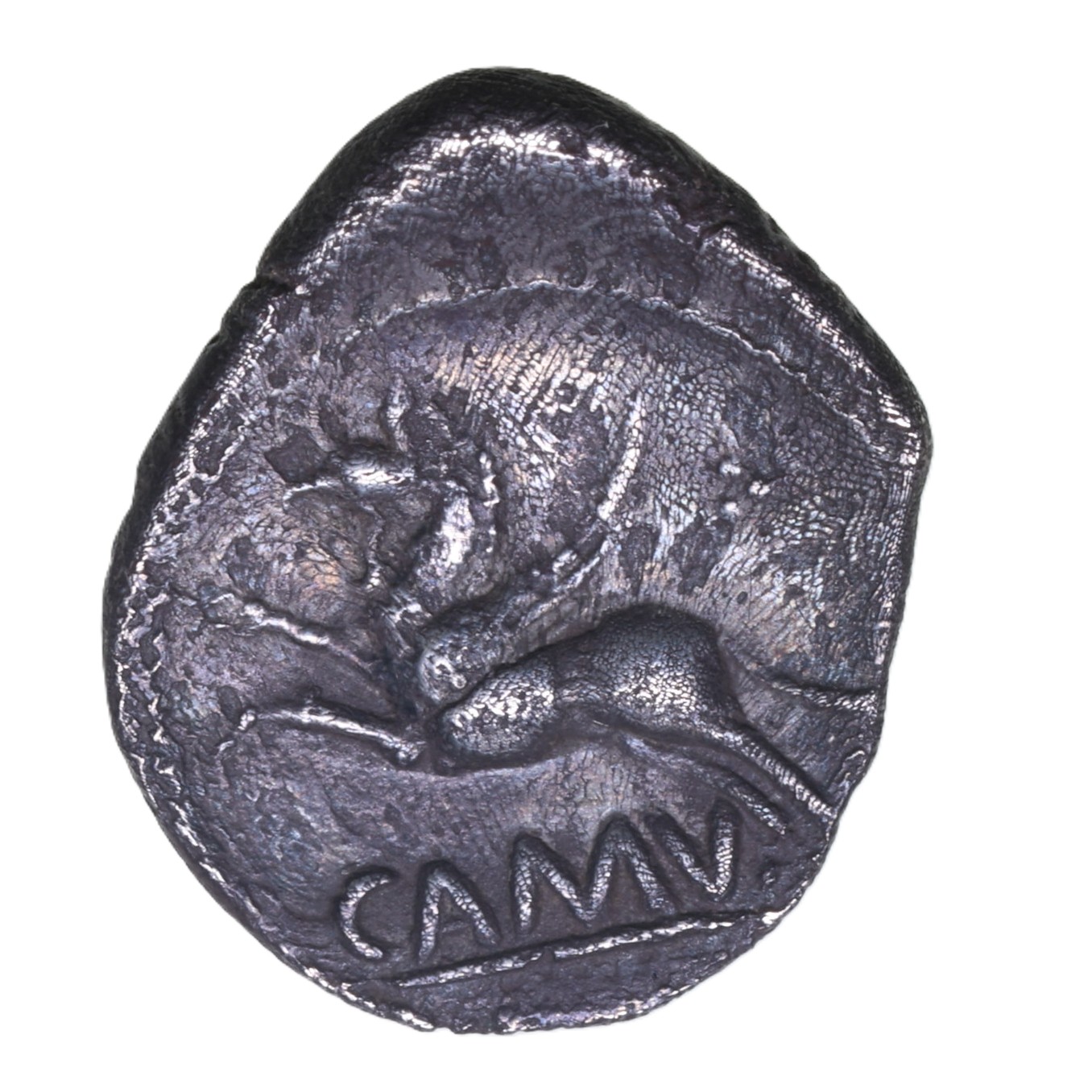 Catuvellauni and Trinovantes Cunobelinus c. AD 8-40 C. Leaping Griffin Silver Unit *Excessively Rare* - Image 2