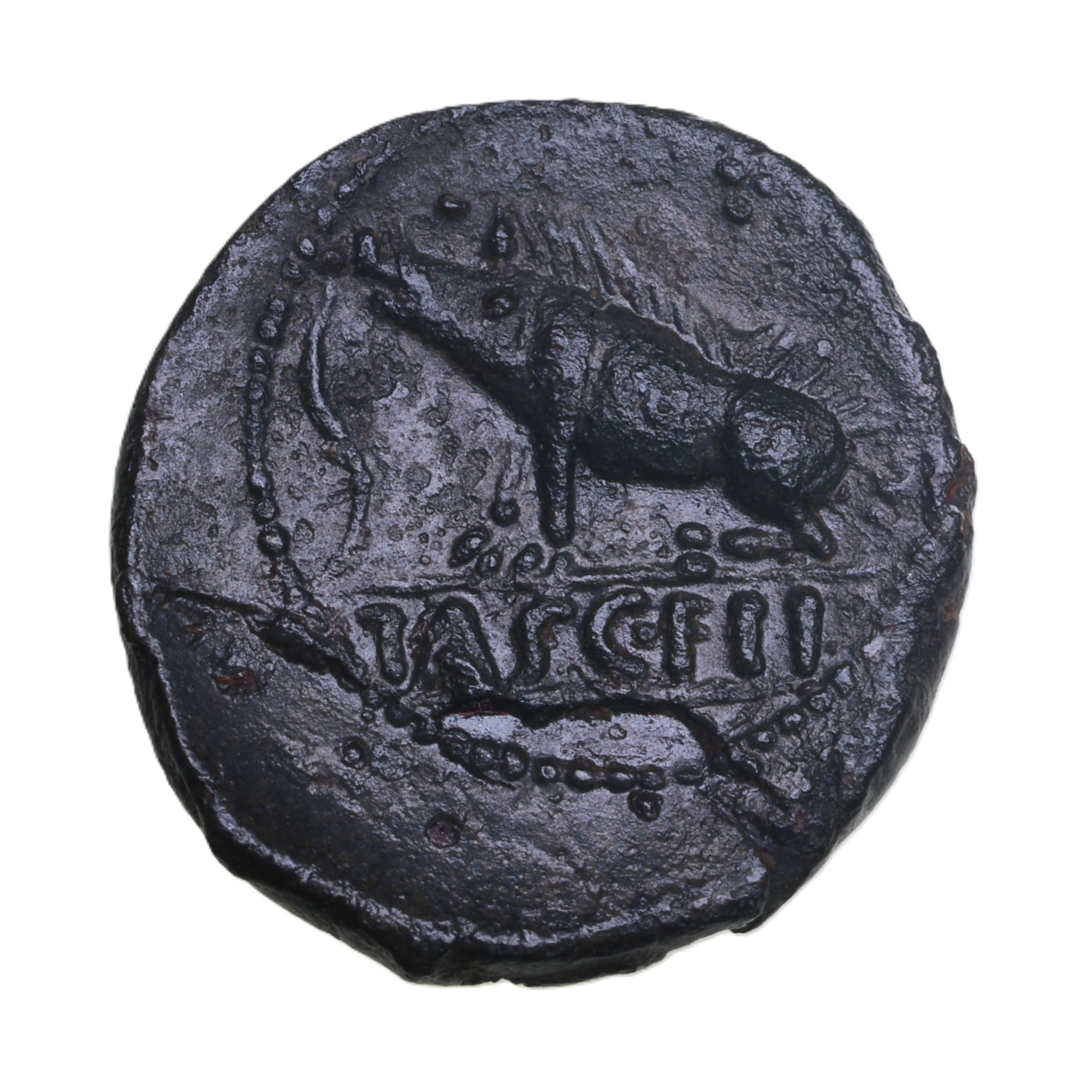 Catuvellauni and Trinovantes Cunobelinus c. AD 8-40 C. Sitting Boar Bronze Unit *Rare* - Image 2