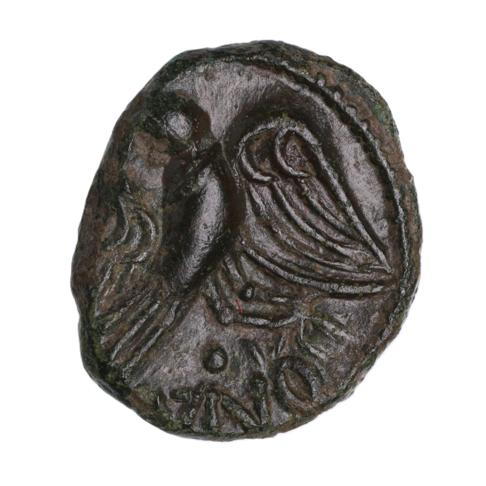 Catuvellauni and Trinovantes Cunobelinus c. AD 8-40 C. Spread Eagle Bronze Unit *Extremely Rare* - Image 2