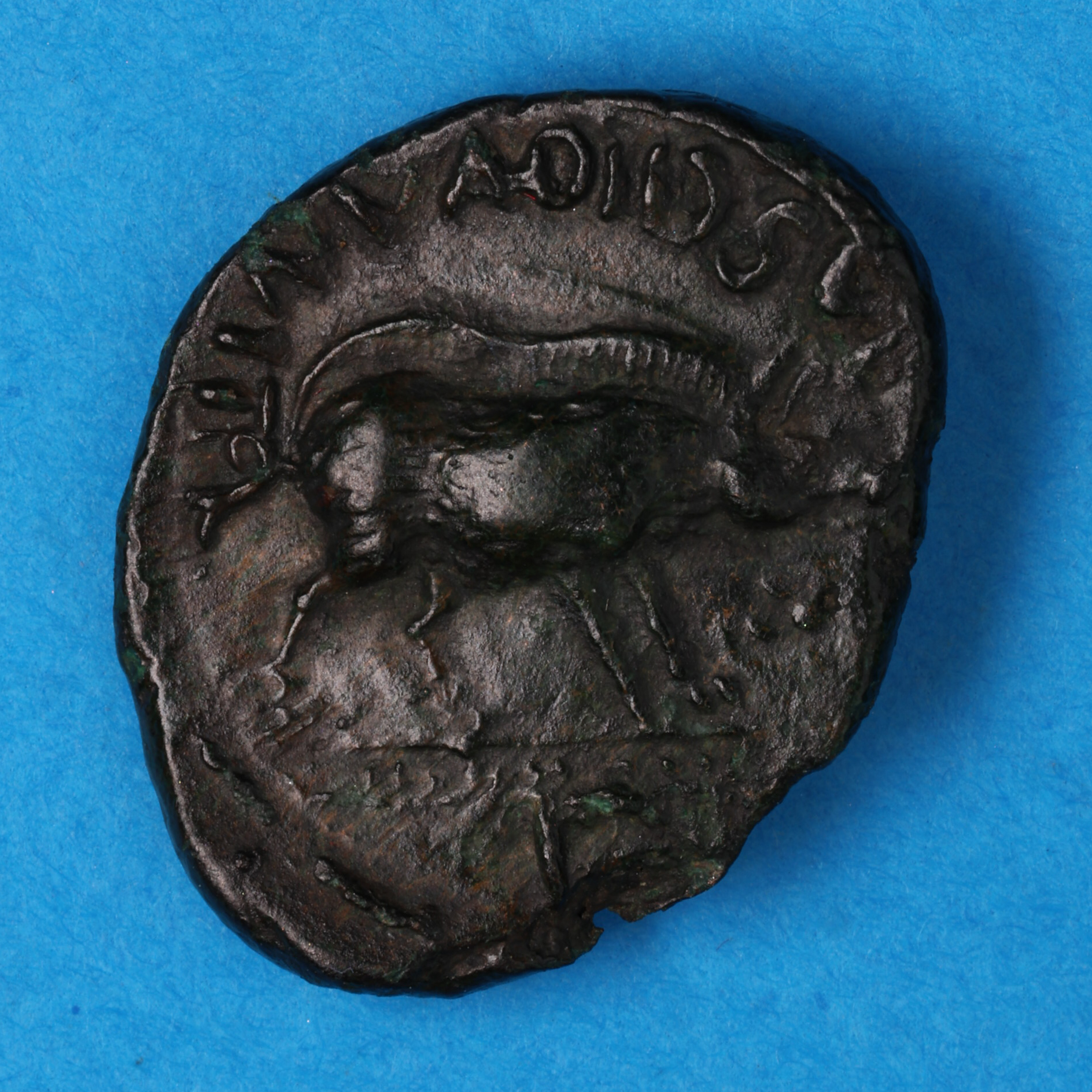 Catuvellauni and Trinovantes Cunobelinus c. AD 8-40 C. Sow Bronze Unit - Image 4